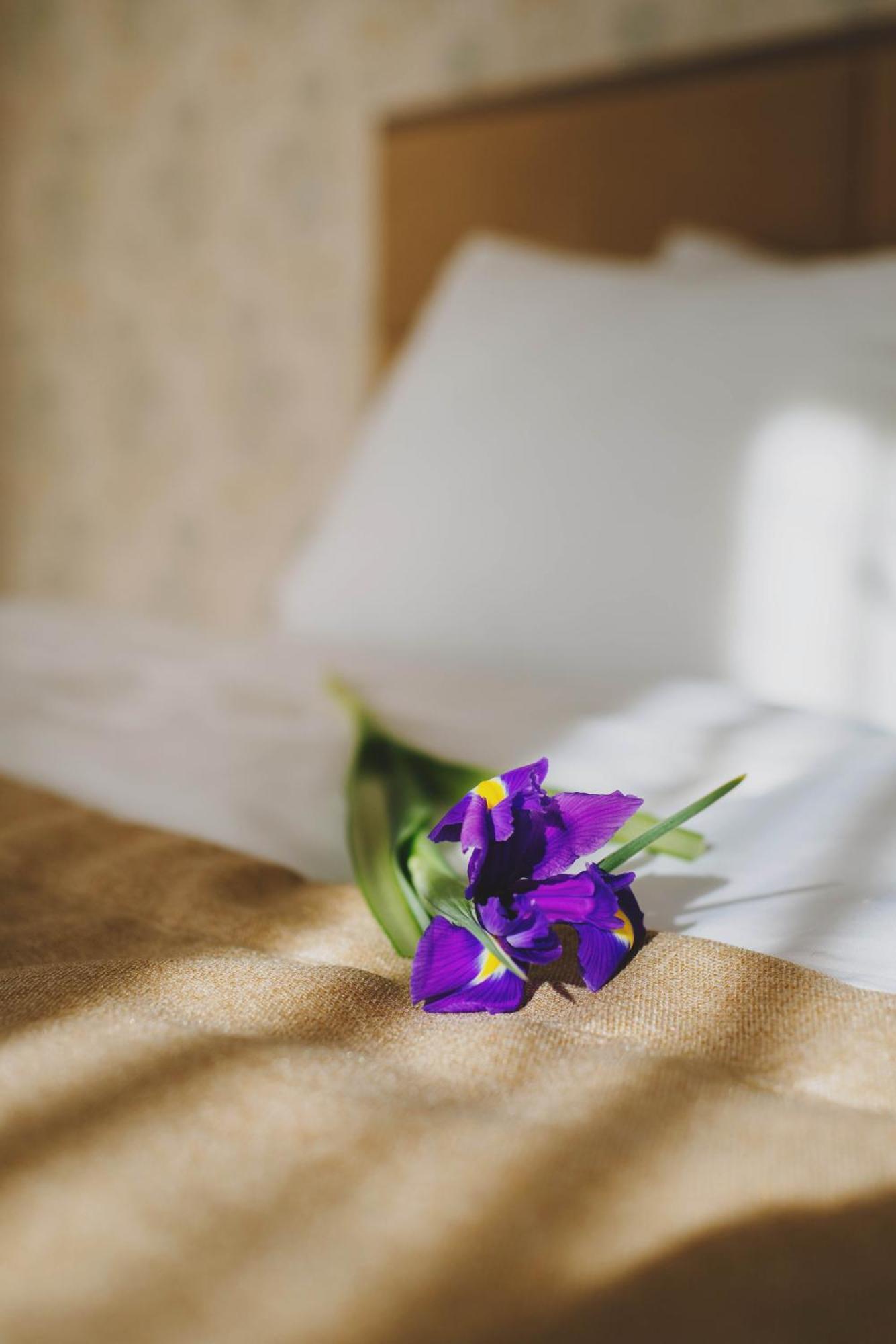 Hotel Alkor Truskavets Quarto foto